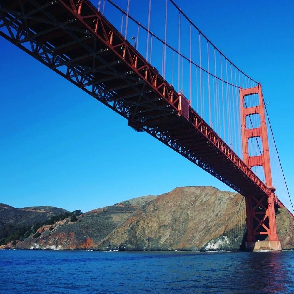 Meet your Posher, Annie